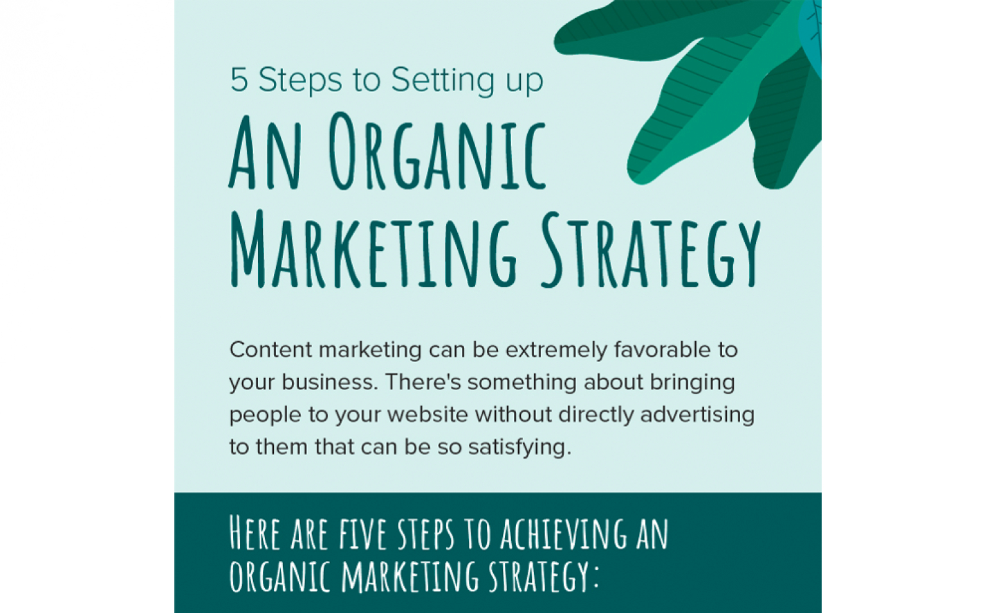 5 Steps To Setting Up An Organic Marketing Strategy